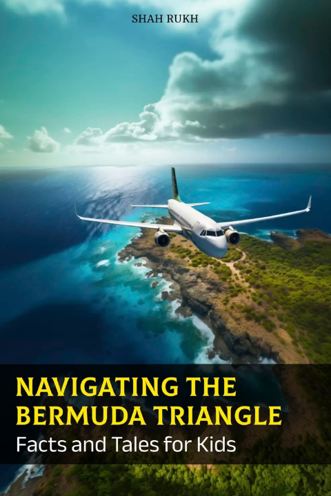 Kniha Navigating the Bermuda Triangle Shah Rukh