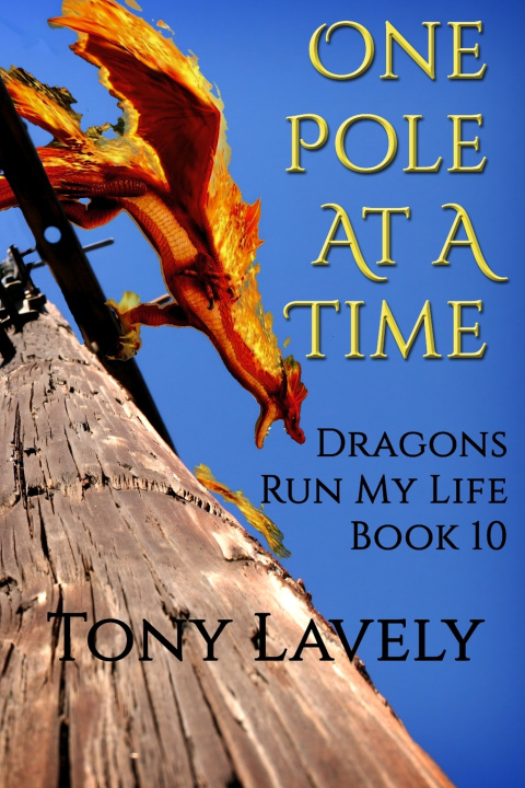 Kniha One Pole At A Time Tony Lavely