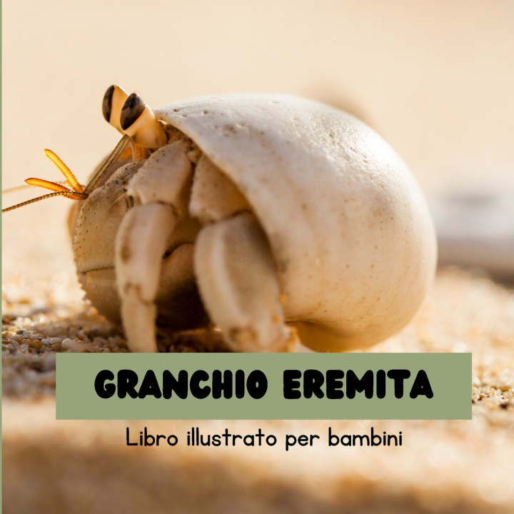 Kniha Granchio Eremita Alexis Aliami