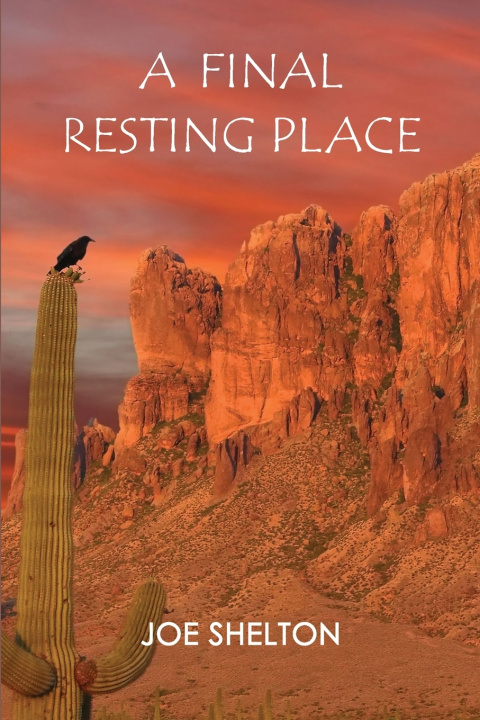 Kniha A Final Resting Place Joe Shelton