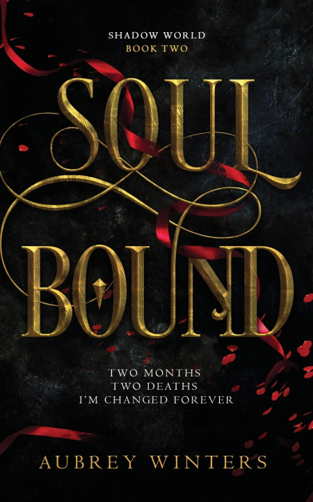 Książka Soul Bound Aubrey Winters