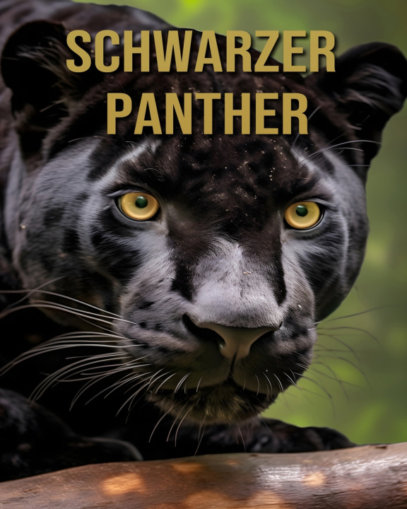 Kniha Schwarzer Panther Sofia Cortez