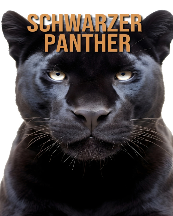Kniha Schwarzer Panther Tristan Fairwood