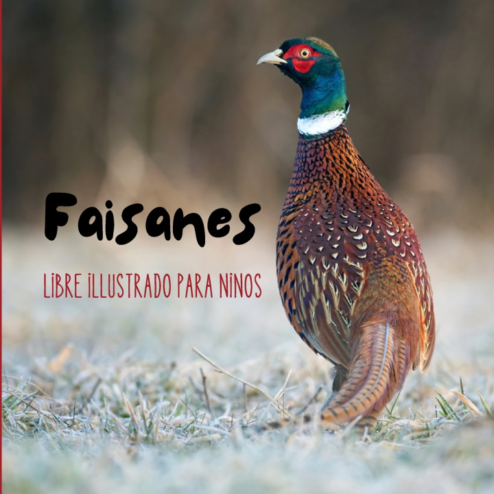 Kniha Faisanes Anna Soledad