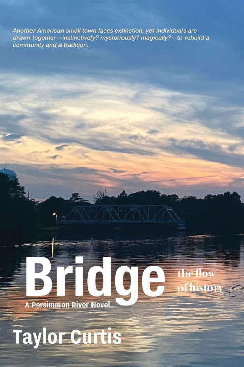 Kniha Bridge Taylor Curtis