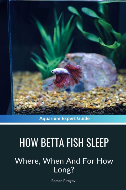 Boek How Betta Fish Sleep Roman Pirogov