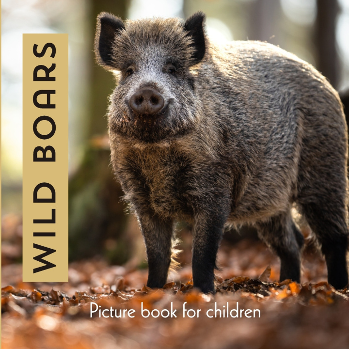 Knjiga Wild Boars Stephen Marcal