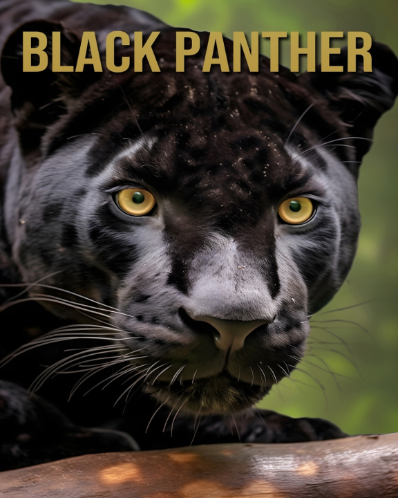 Książka Black Panther Sofia Cortez