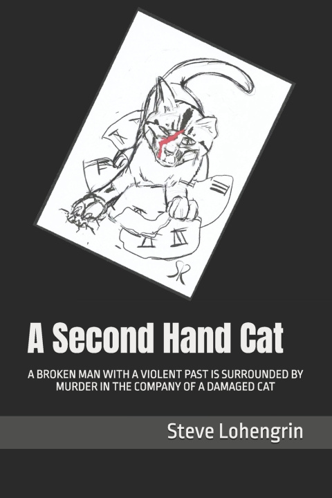 Kniha A Second Hand Cat Steve Lohengrin