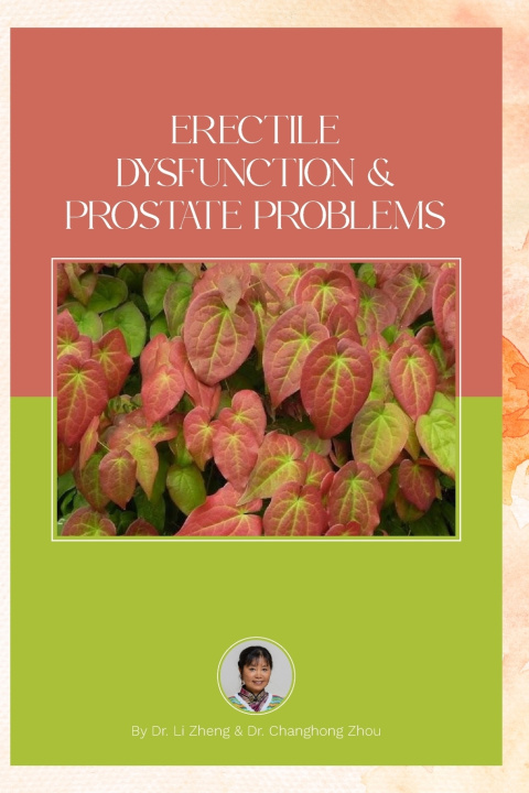 Kniha Erectile Dysfunction and Prostate Problems Li Zheng