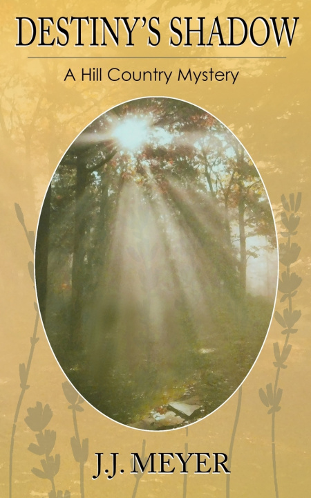 Knjiga Destiny's Shadow J. J. Meyer