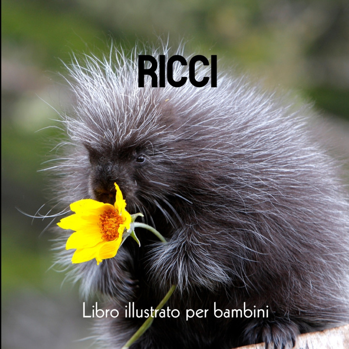 Kniha Ricci Enzo Gallegio