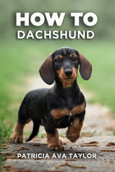 Książka How to Dachshund Patricia Ava Taylor