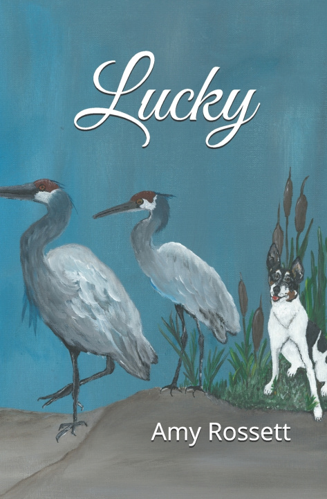 Kniha Lucky Amy Bedenbaugh Rossett