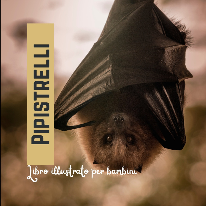 Książka Pipistrelli Paula Rodrigues