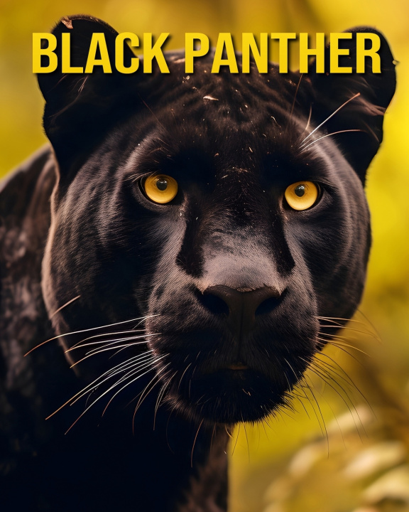 Książka Black Panther Ariadne Wraith