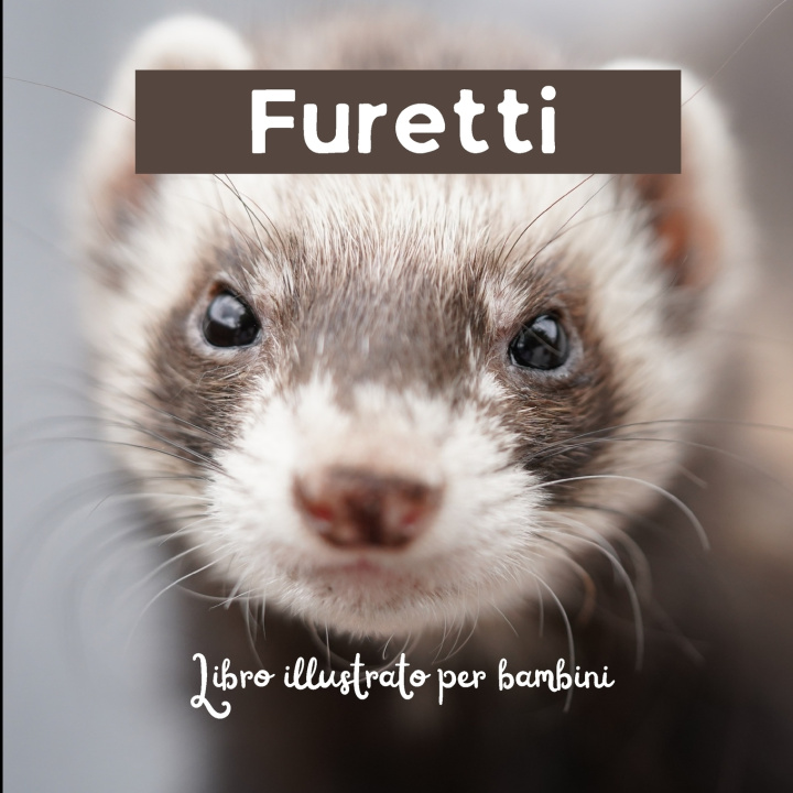 Kniha Furetti Mario Lobina
