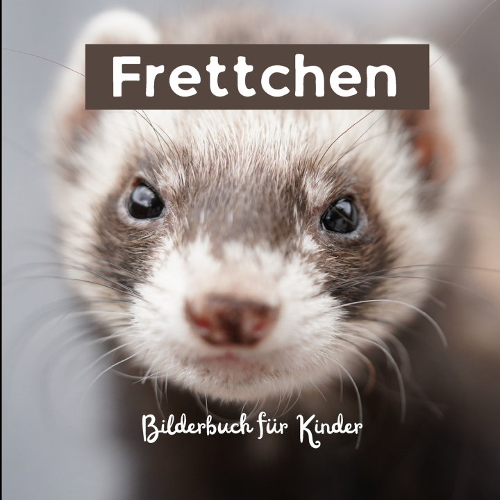 Kniha Frettchen Chase Lencel