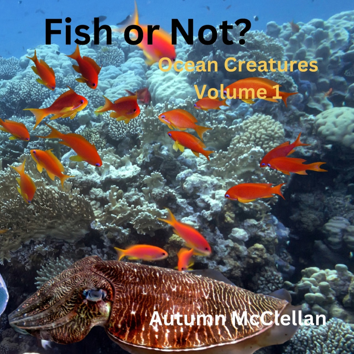 Kniha Fish or Not? Autumn McClellan