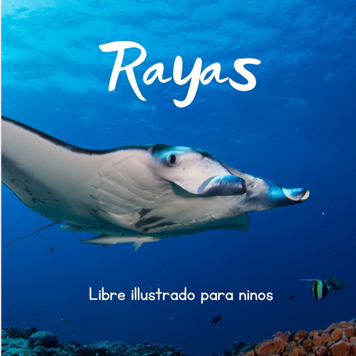 Libro Rayas Enzo Valores
