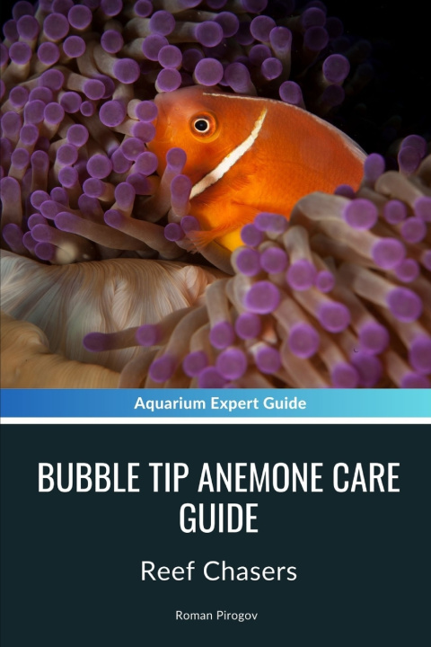 Knjiga Bubble Tip Anemone Care Guide Roman Pirogov