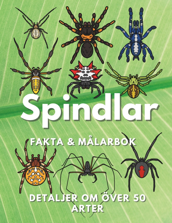 Kniha Spindlar Steven Book