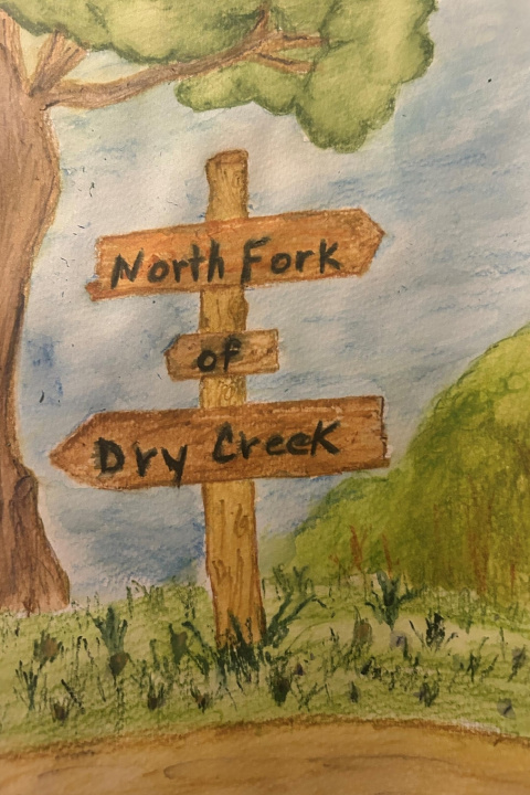 Kniha North Fork of Dry Creek James Edward Sanderson Jr