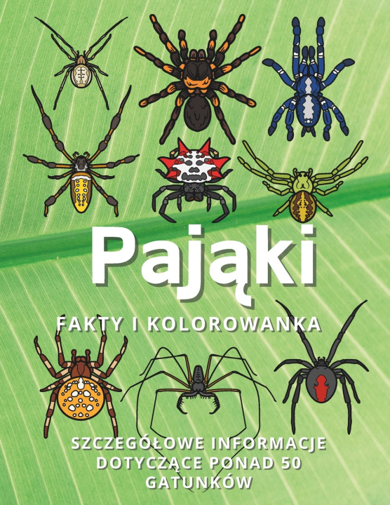 Książka Pająki Steven Book