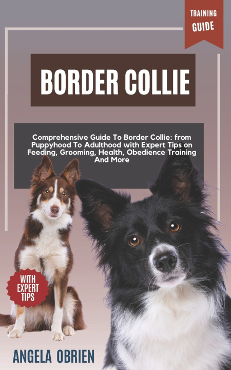 Kniha BORDER COLLIE Training Guide ANGELA OBRIEN