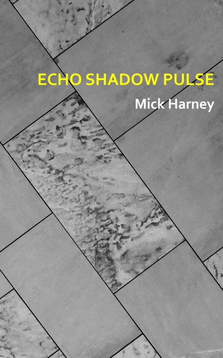 Knjiga ECHO SHADOW PULSE Mick Harney