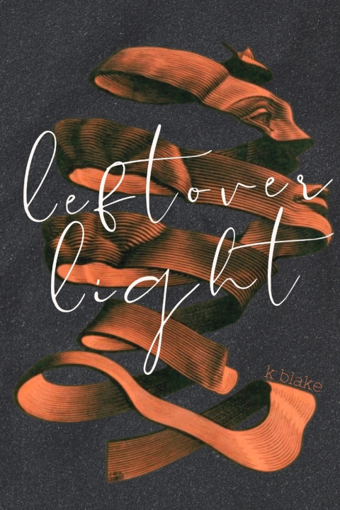 Knjiga Leftover Light Katherine Blake