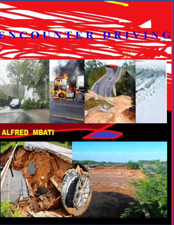 Kniha ENCOUNTER DRIVING Alfred Mbati