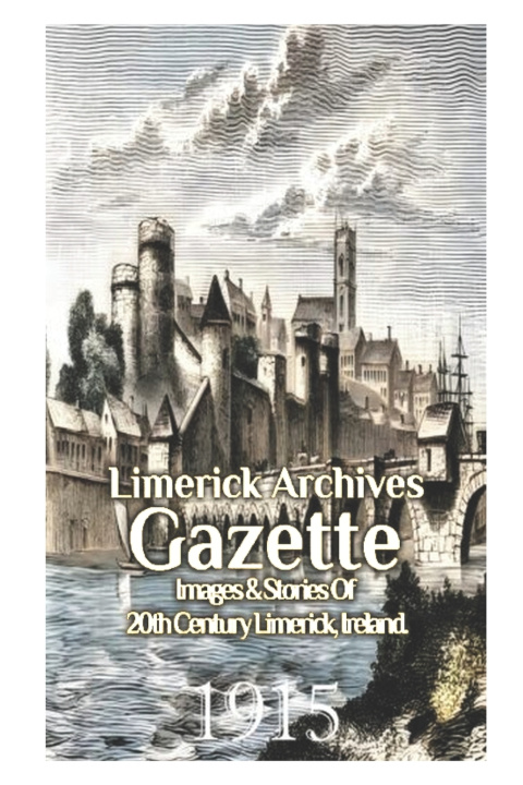 Książka Limerick Archives Gazette Gerard Hannan