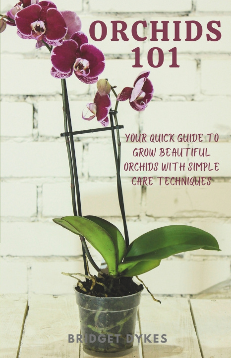 Kniha Orchids 101 Bridget Dykes