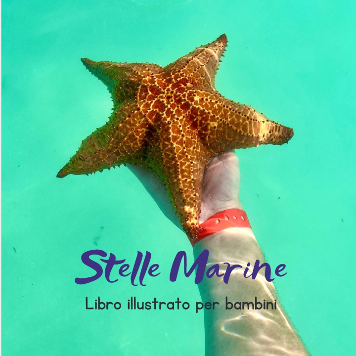 Książka Stelle Marine Elisa Castera