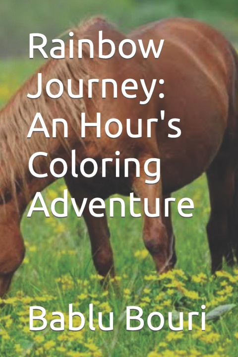 Książka Rainbow Journey Bablu Bouri