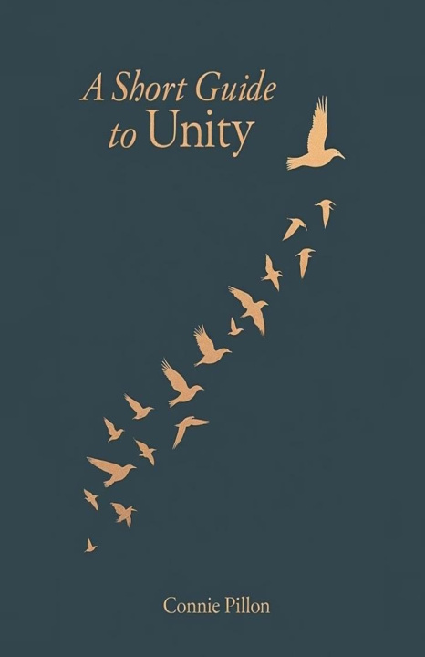 Kniha A Short Guide to Unity Connie Pillon