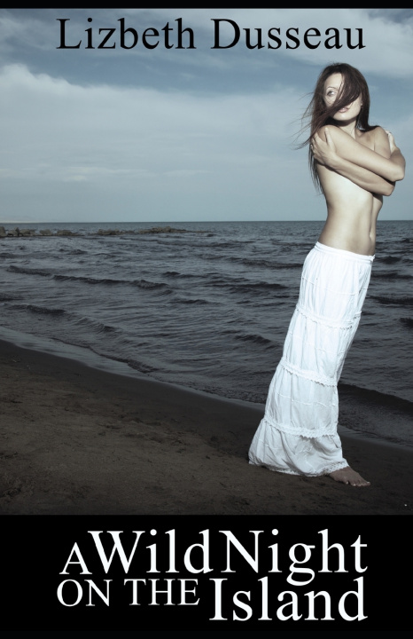 Kniha A Wild Night On The Island Lizbeth Dusseau
