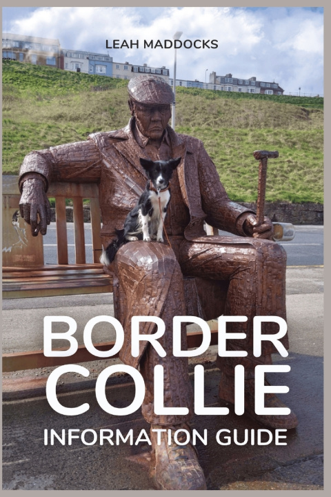 Kniha Border Collie Information Guide Leah Maddocks