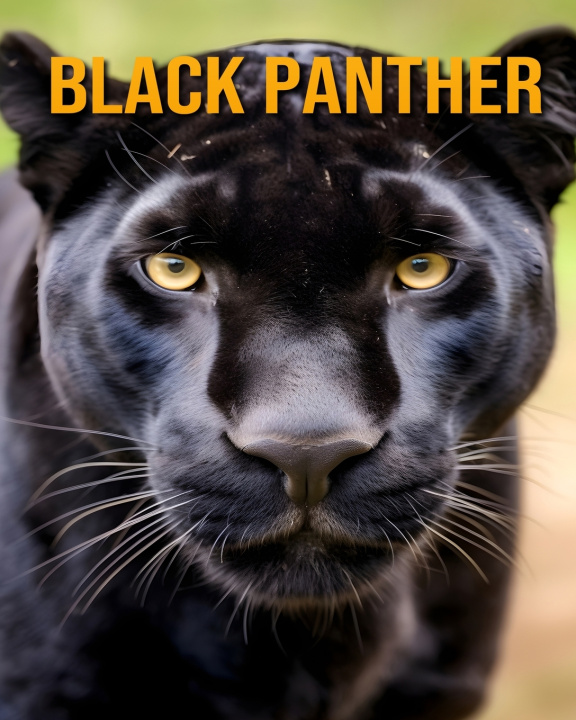 Książka Black Panther Antonio Richter