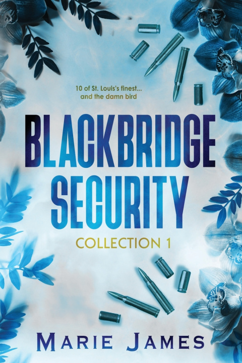 Kniha Blackbridge Security Collection 1 Marie James