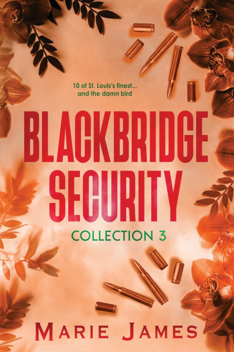 Książka Blackbridge Security Collection 3 Marie James