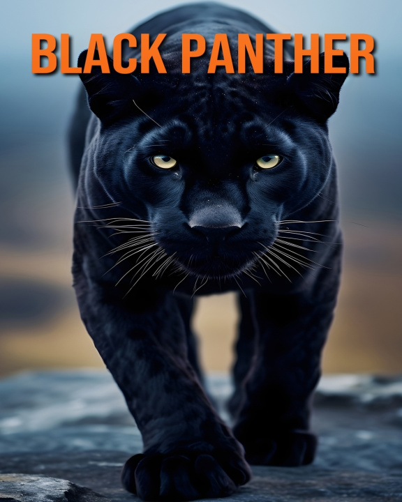 Boek Black Panther Stefan Ortega