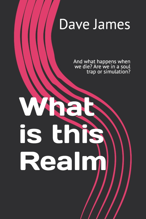 Książka What is this Realm Dave James