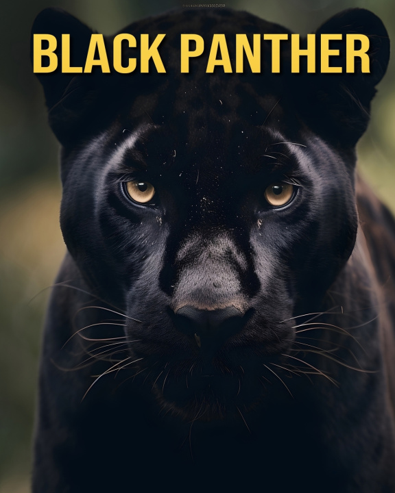 Książka Black Panther Debbie Ziegler