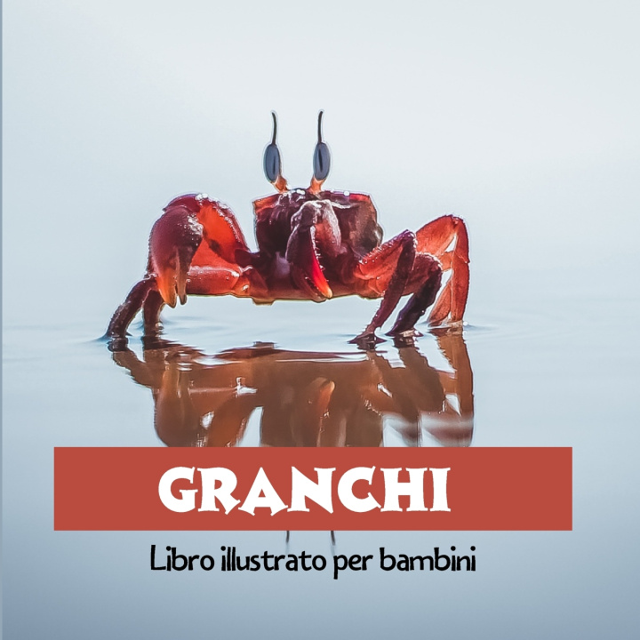 Książka Granchi Arnaud Pazzi
