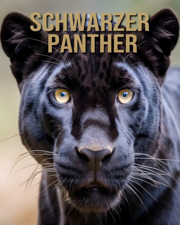 Kniha Schwarzer Panther Isla Vane