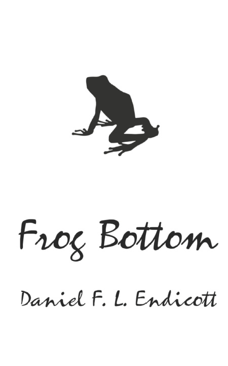 Kniha Frog Bottom Daniel F. L. Endicott Sereni