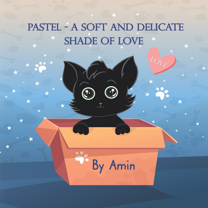 Książka Pastel Amin
