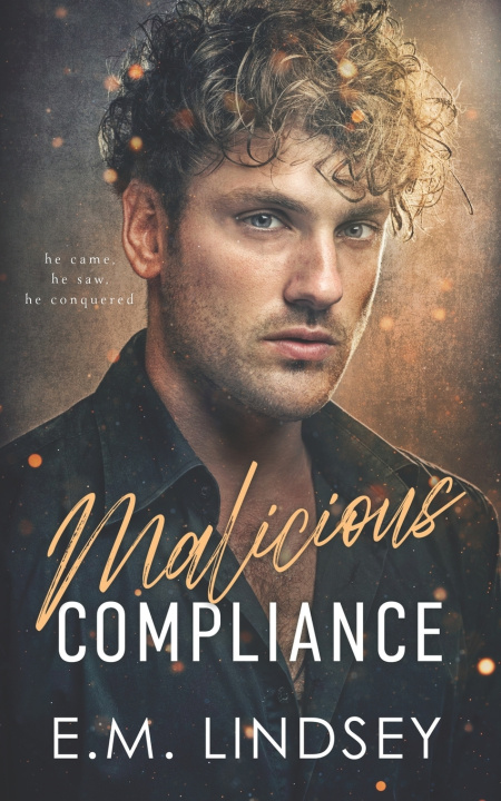 Boek Malicious Compliance E.M. Lindsey